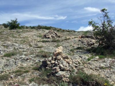 Прикрепленное изображение: DSCF8439.jpg